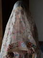 Indian Wedding Bride in Veil