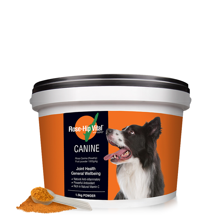 Rose-Hip Vital Canine | Introductory Offer 