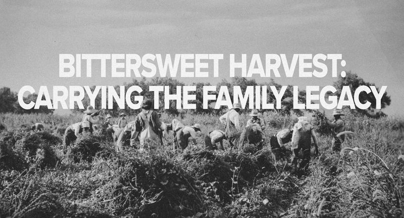 Bittersweet Harvest: Carrying the Family Legacy