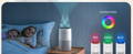 Absorb pet odors