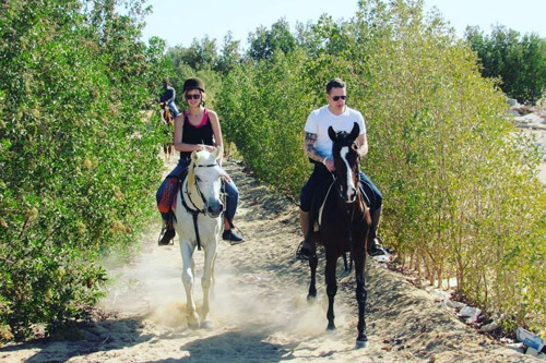 Прогулки на лошадях в Хургаде для новичков и опытых всадников.