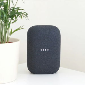Nest Audio Speaker