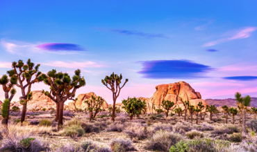 2-Day Motorcycle Tour: LA – Big Bear – Joshua Tree – LA