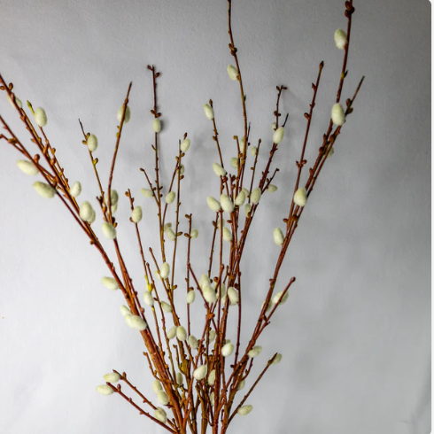 Willow Branch - Realistic Artificial Flowers