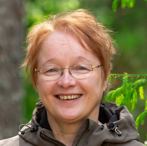 Tiina Jämsä