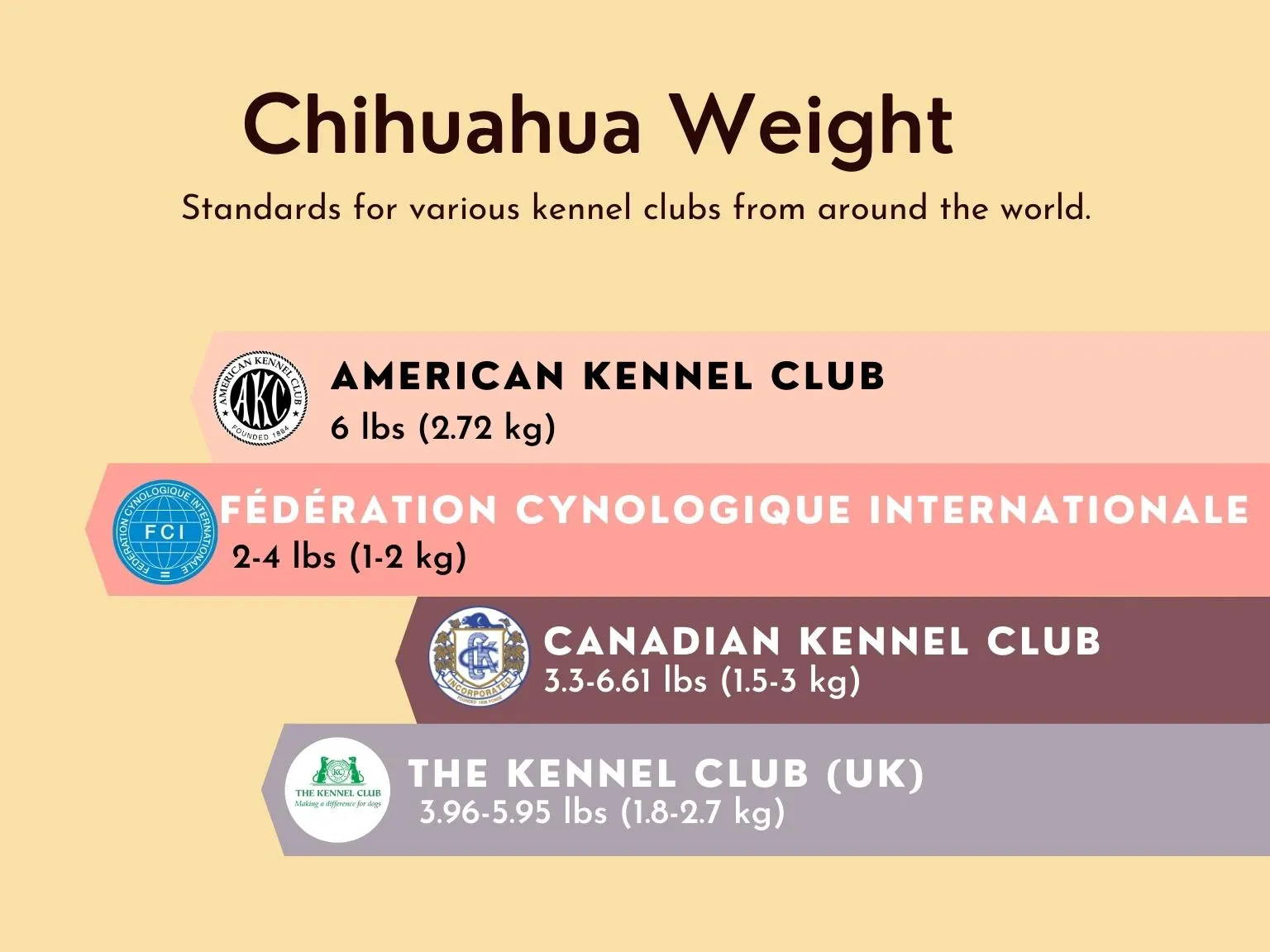 how much does a full grown chihuahua weigh