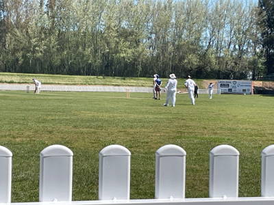 Bathurst City Colts CC Cricket Club Logo