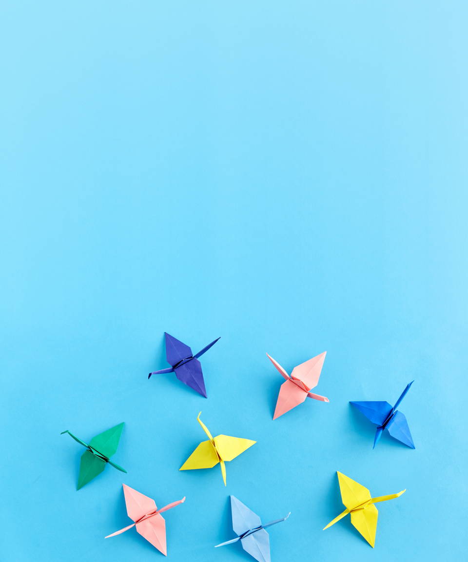 Paper cranes in various colors for Confetti's Virtual Origami Class
