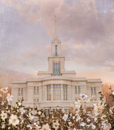 Payson Utah Temple standing amod white flowers.