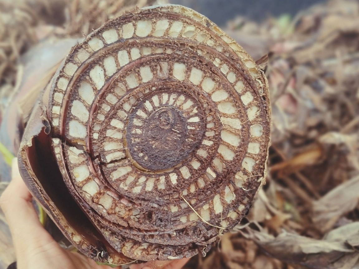 Ellia's Garden Voucher - Image 10