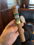 caption