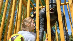 fussballgolf gorilla