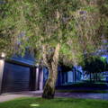 Inground Light by Havit uplighting a tree on the sidewalk