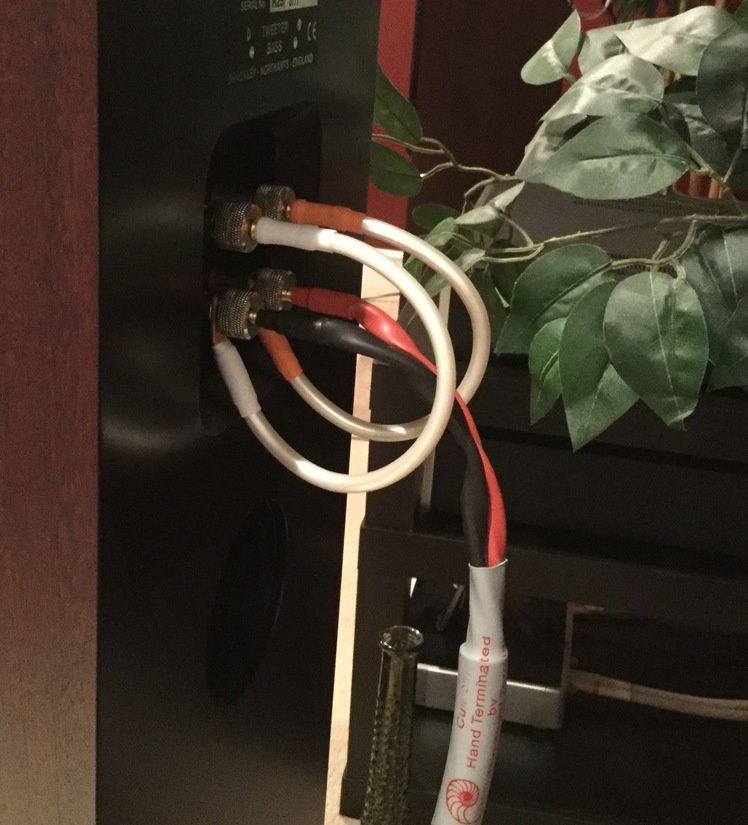 Mikeybc's System