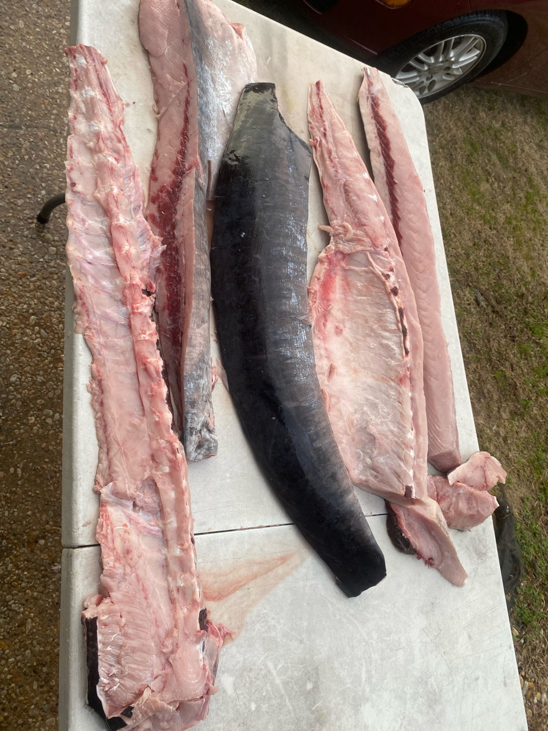 Boat Charter Destin fishing charter photo
