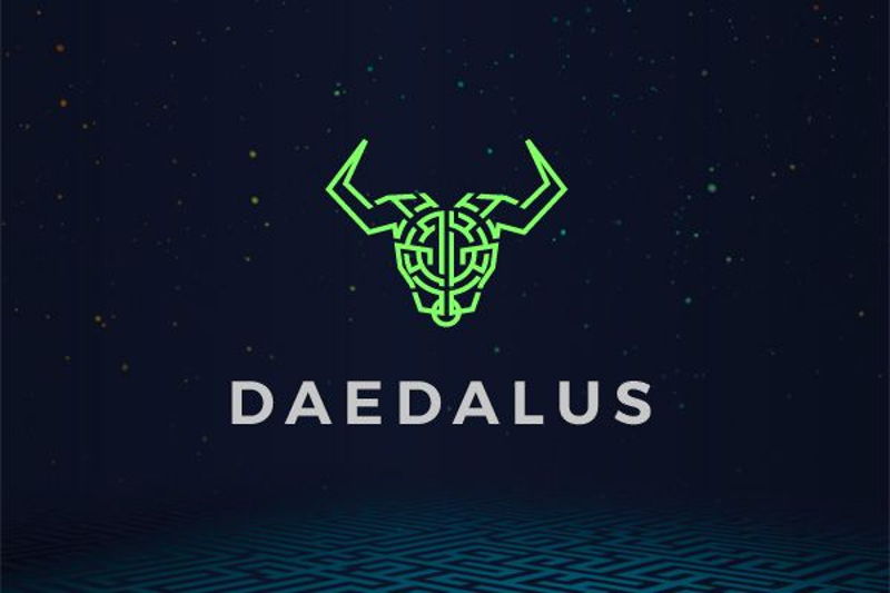 Daedalus: from launch to Flight and beyond...