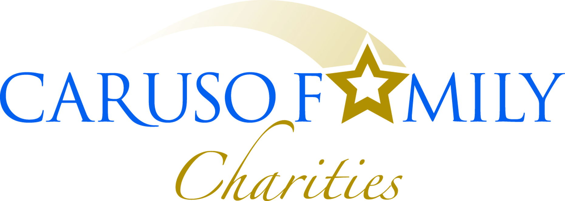 Caruso Family Charities Donor portal