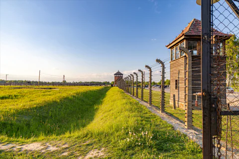 Auschwitz-Birkenau Guided Tour or Private Transfer from Krakow
