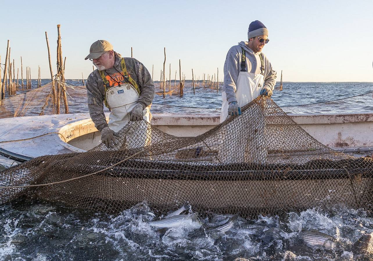 Hemptique supplies eco-friendly marine rope