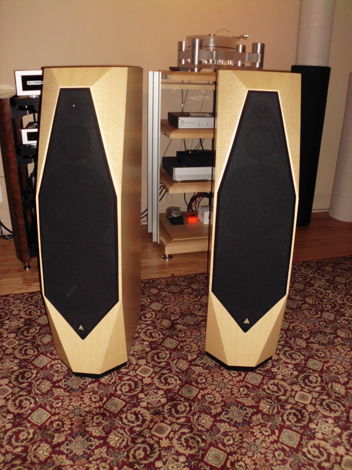 Avalon Acoustics Time Floor Standing Speakers