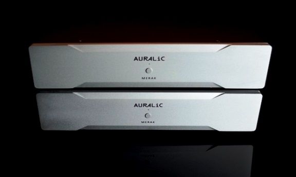 Auralic Merak Mono Block Amplifier Pair