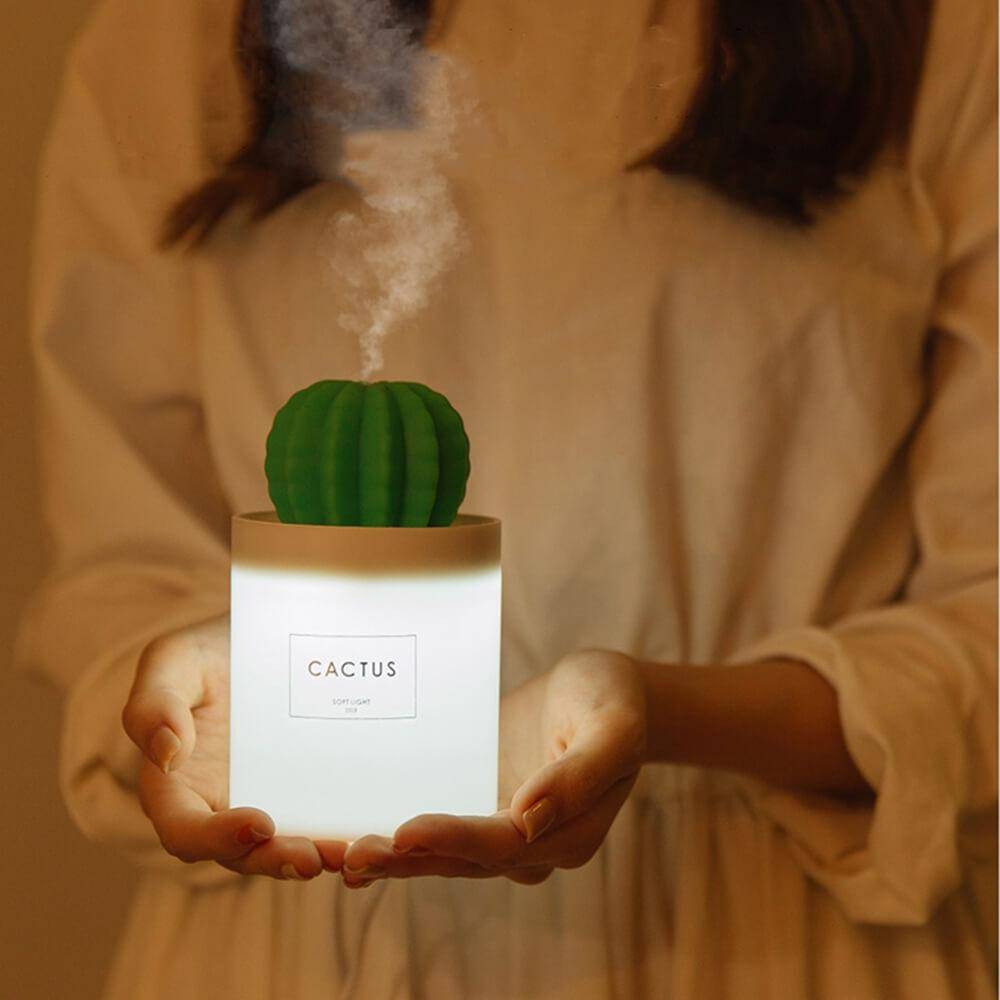 Cactus plant humidifier