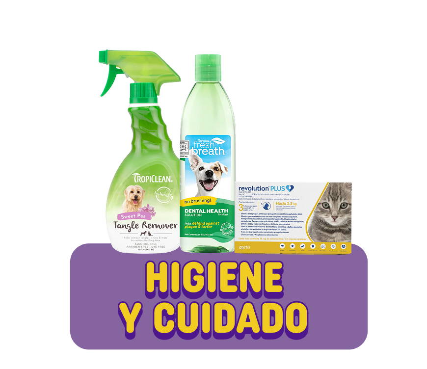 accesorios y juguetes