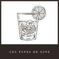 Bouton pour la page Les types de Gins