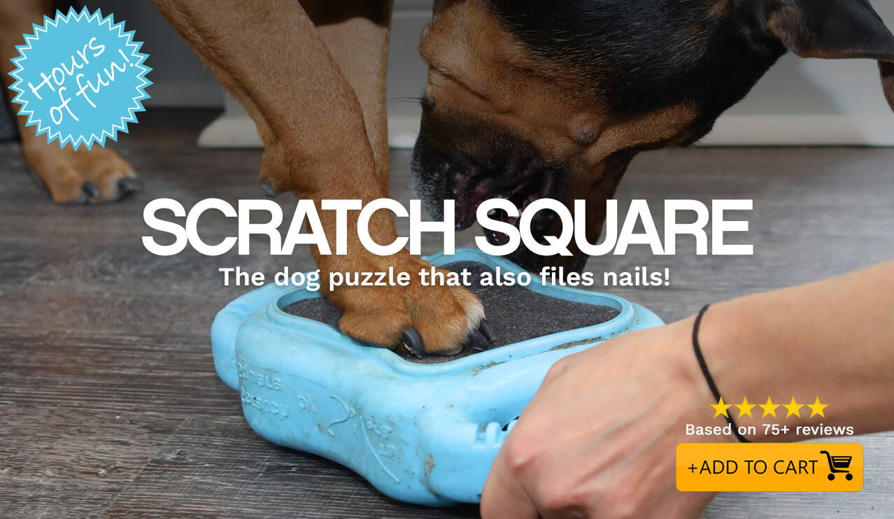 Scratch Square for Dogs – De' Vora Pet Products