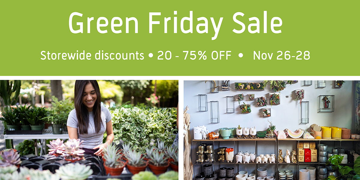 Green Friday Sale (All Weekend Long) promotional image