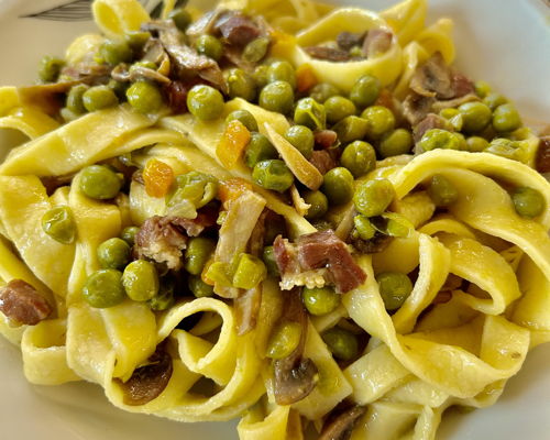 Cooking classes Bologna: Handmade Tagliatelle and local wines: authentic traditions
