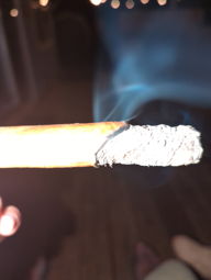 Cigar Session Photo