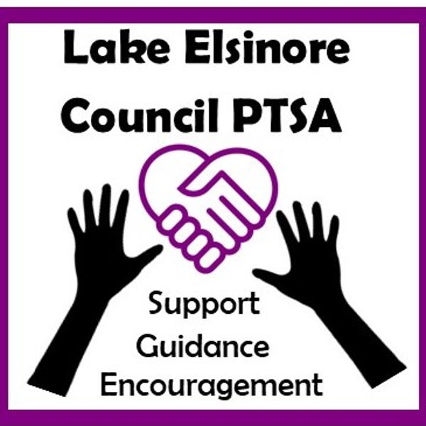 Lake Elsinore Council