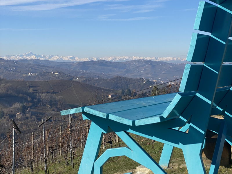 Food & Wine Tours Cassinasco: Taste, learn and pair wines with tasty appetizers