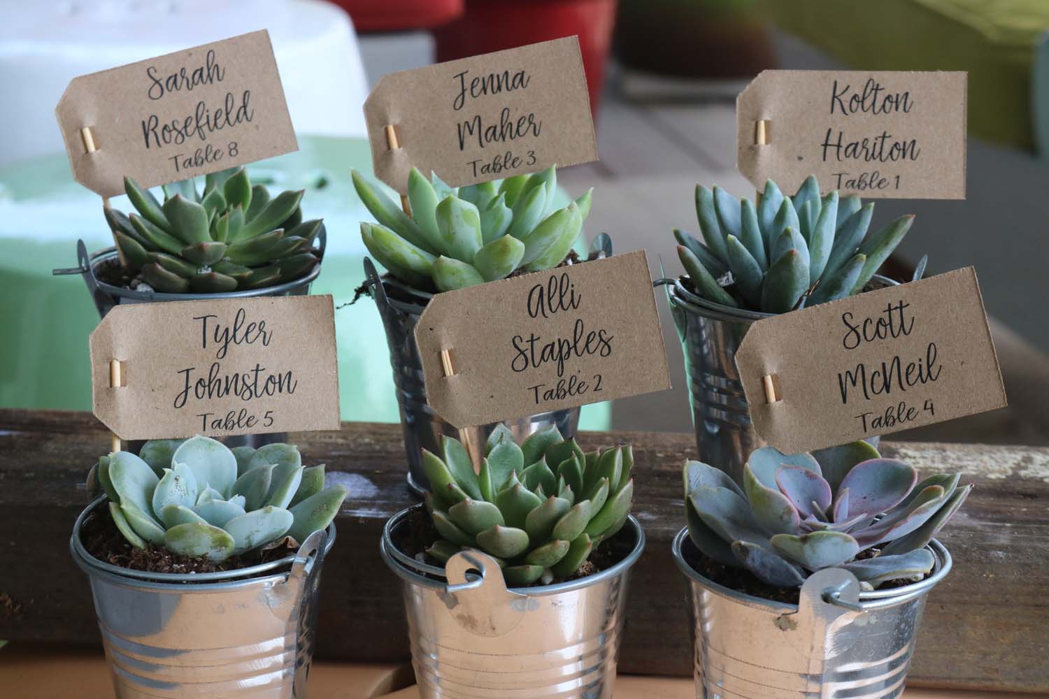 wedding succulents