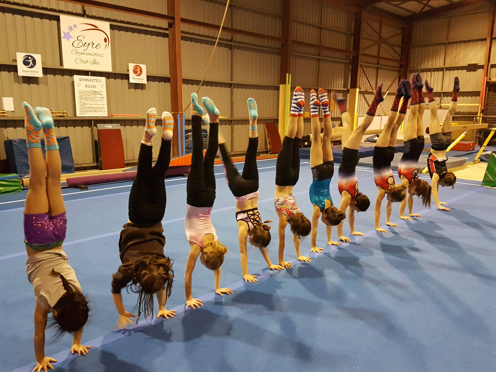 Best profitable fundraising idea for sports team used by Eyre Gymnastics club