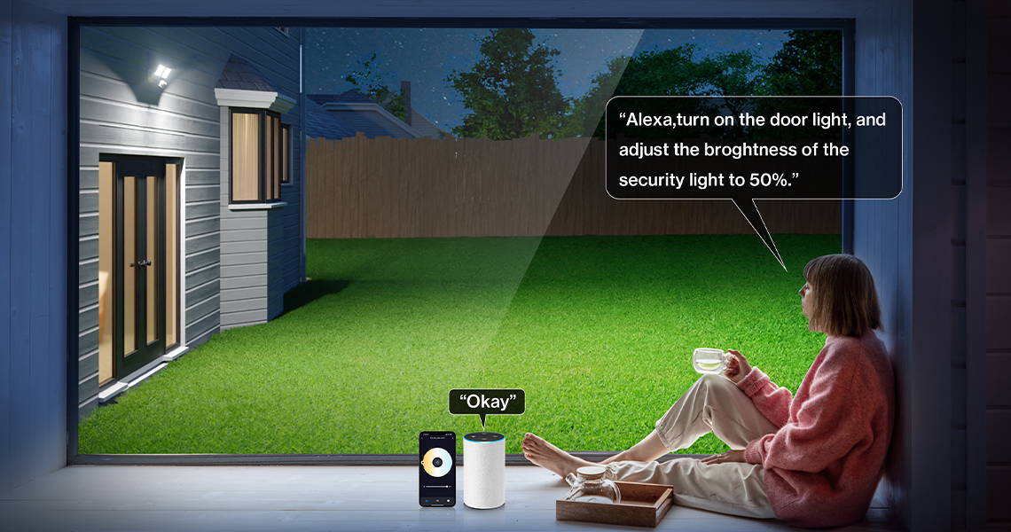 Olafus Smart Motion Activated Outdoor Lights Voice Control