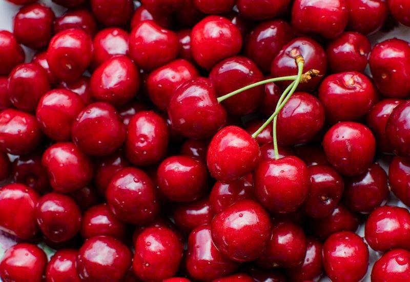 山形さくらんぼ 時期