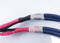 AudioQuest Cobalt Hyperlitz Bi-Wire Speaker Cables 3ft ... 2
