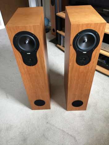 Rega RX5 3 Way Floor-Standing Speakers
