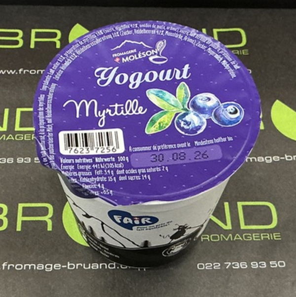 yogourt-myrtille-moleson