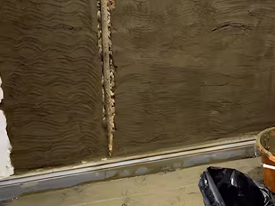 Southern Damp Proofing thumbnail