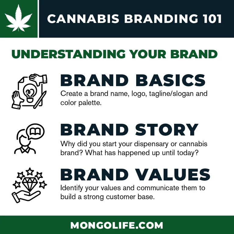 Infographic on how to understand your cannabis brand in marketing