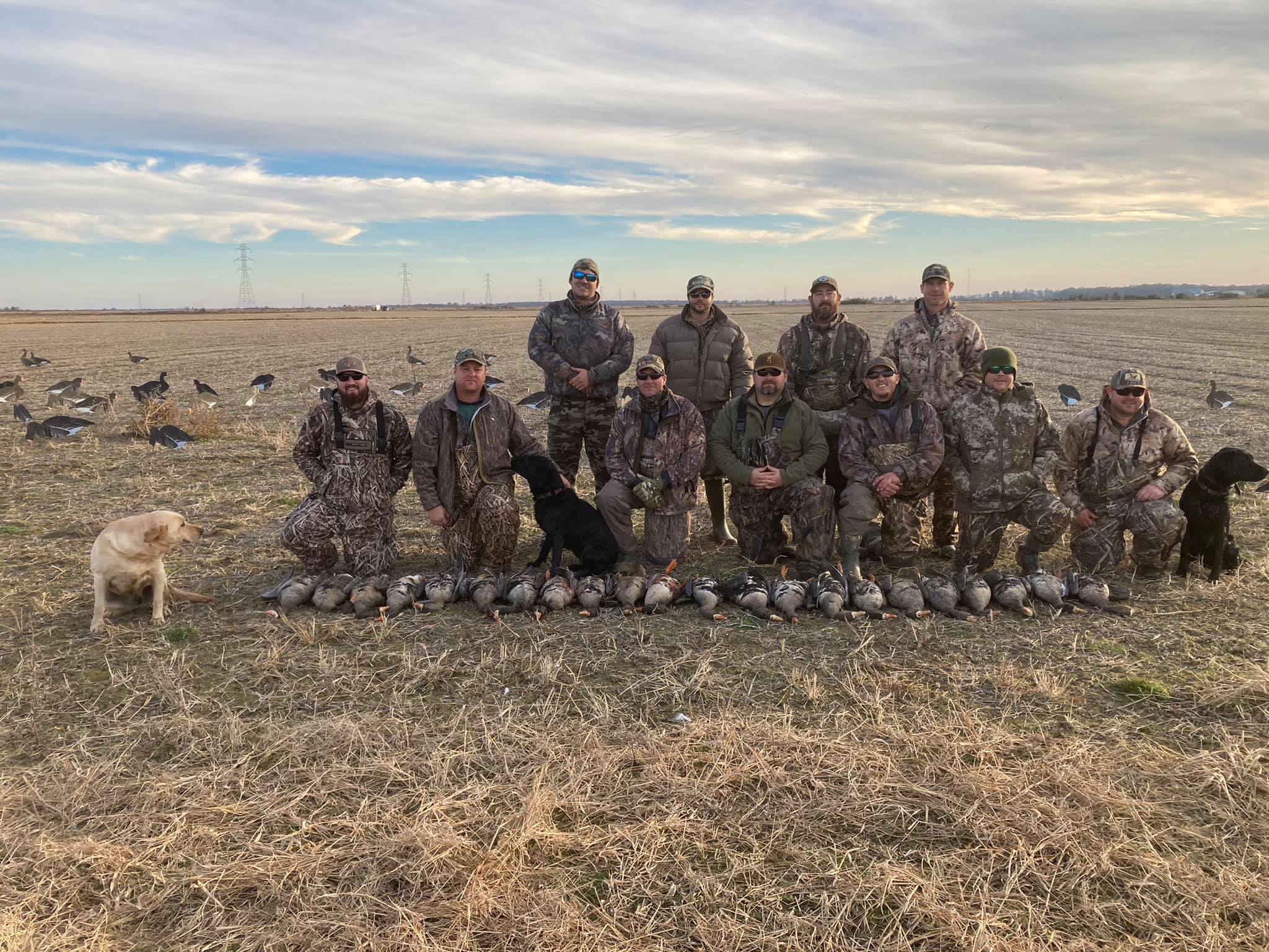 Southern Speck Arkansas Goose Hunts