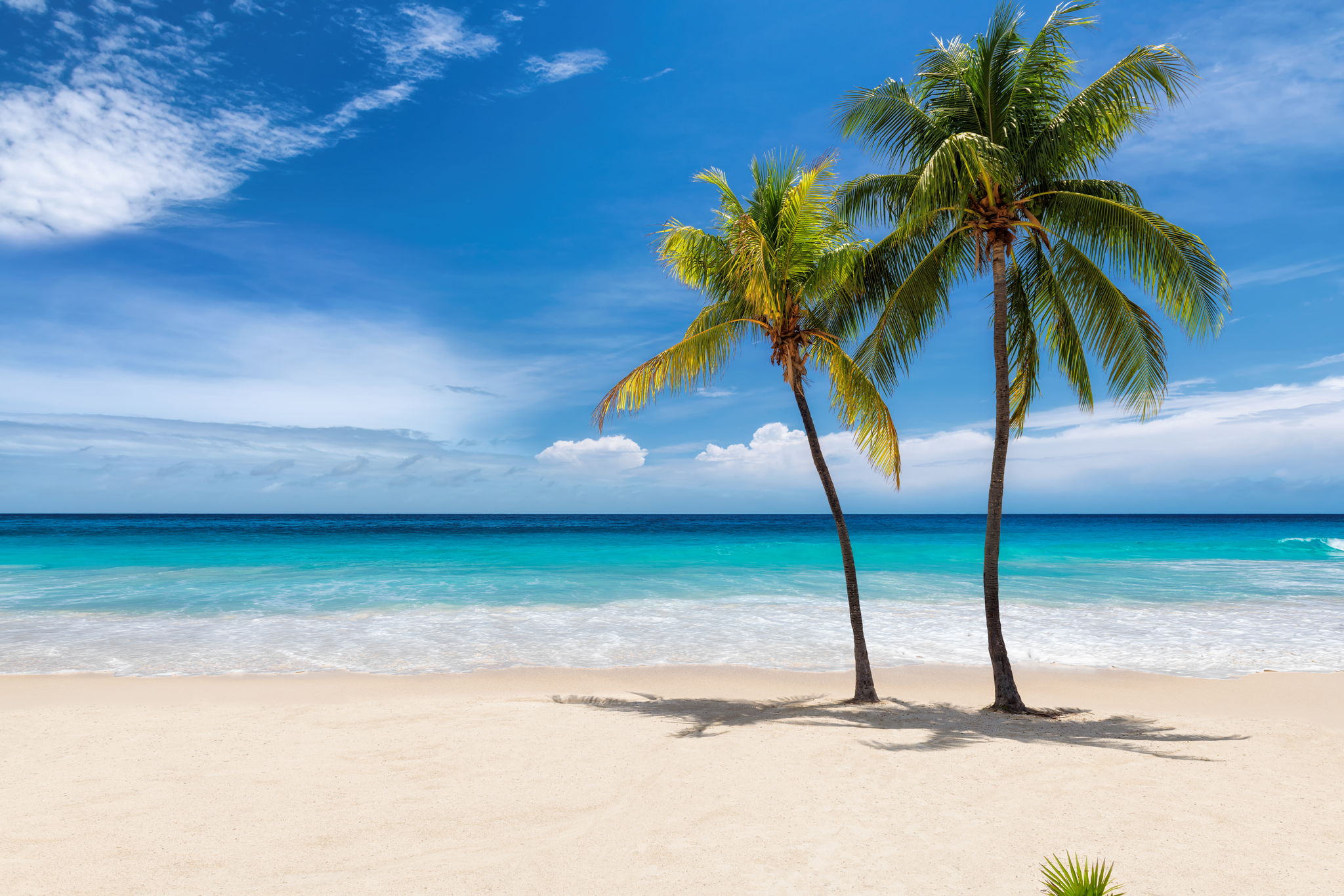 Properties En Venta in Sand Key
