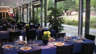 westfälisches pferdemuseum foyer mit terrasse