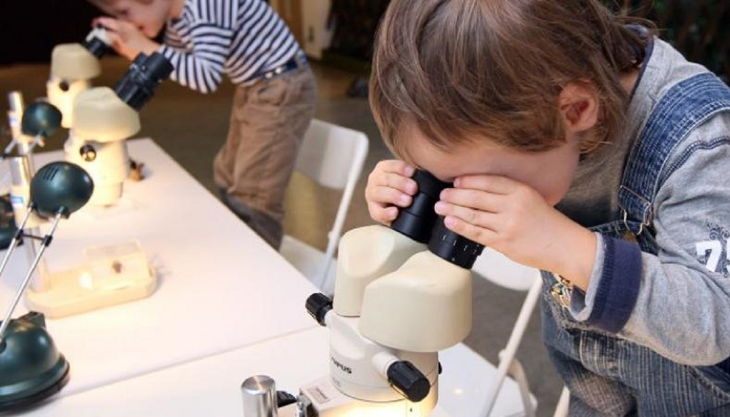 stiftung stadtmuseum kinder am mikroskop