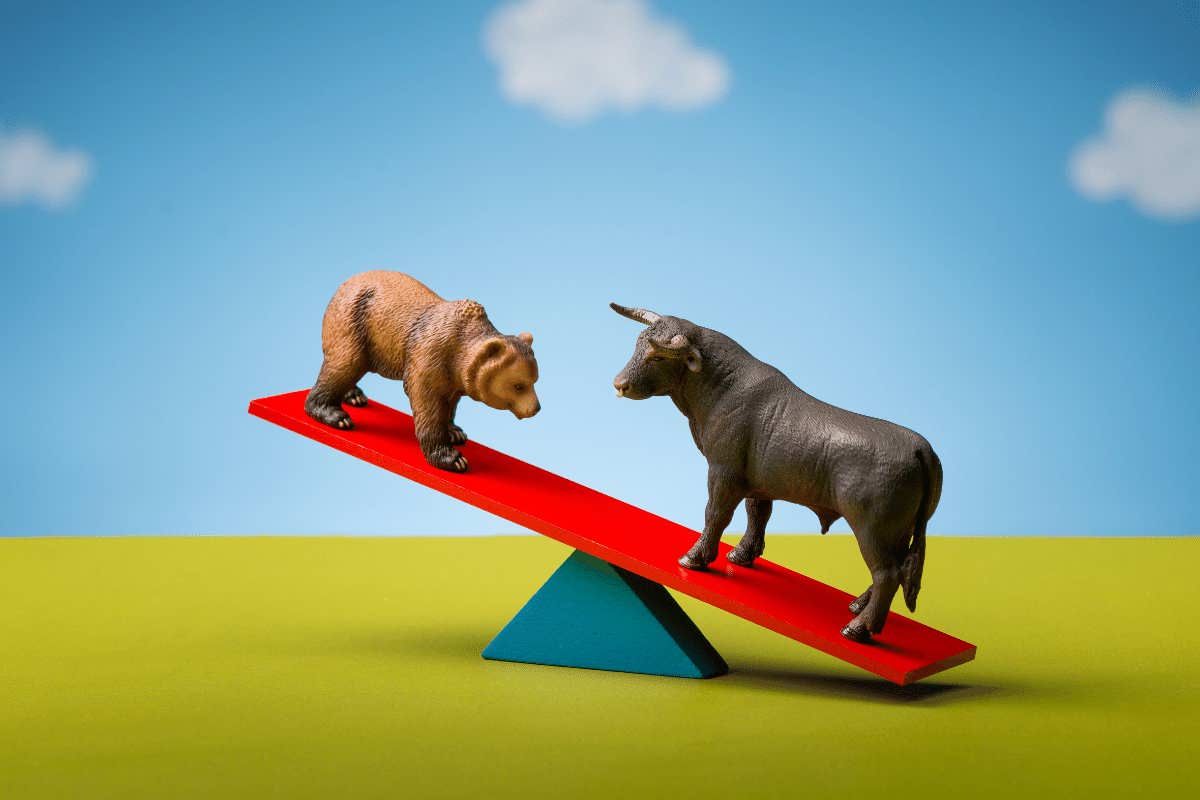 Bears vs Bulls
