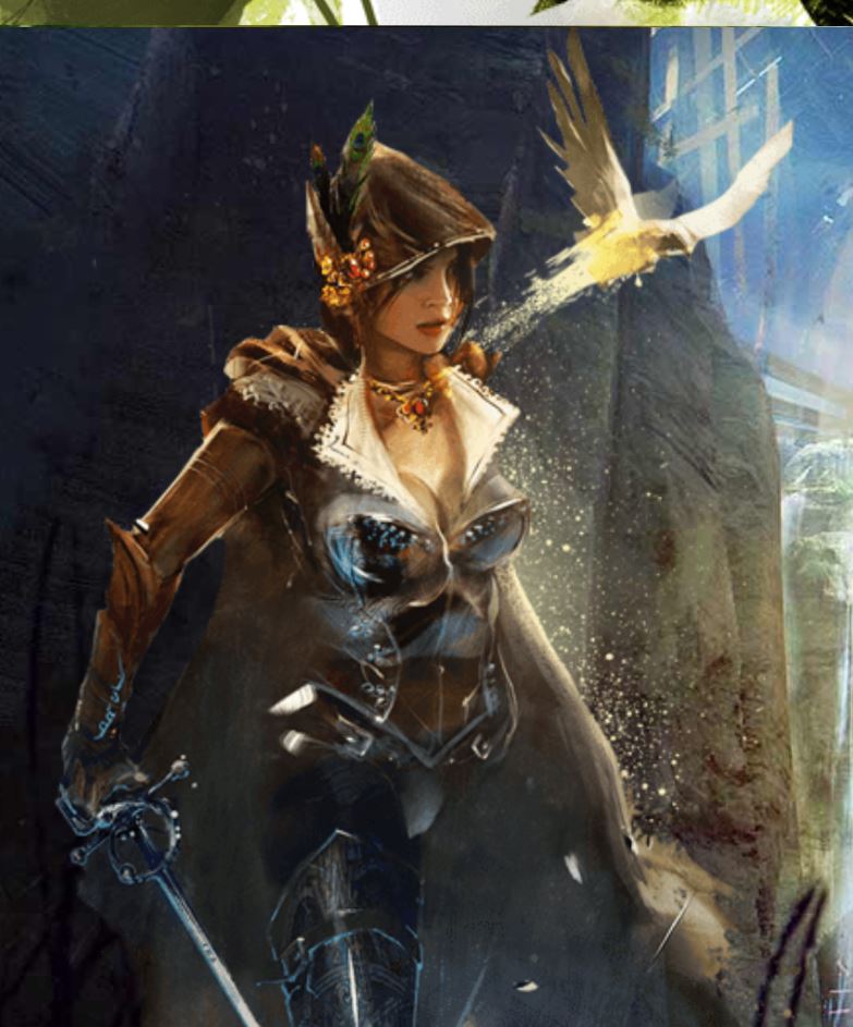 ArenaNet product / service