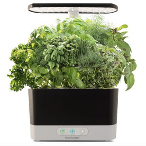 AeroGarden Harvest (black, Gourmet Herbs)